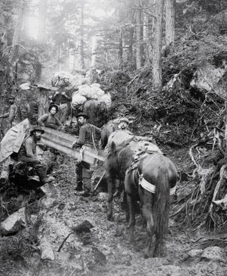 Climbing the Dyea Trail on the way to the Chilkoot Pass during the Klondike Gold Rush (1897-98) (b/w from American Photographer, (19th century)