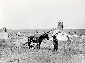 Comanche Indian (b/w photo)