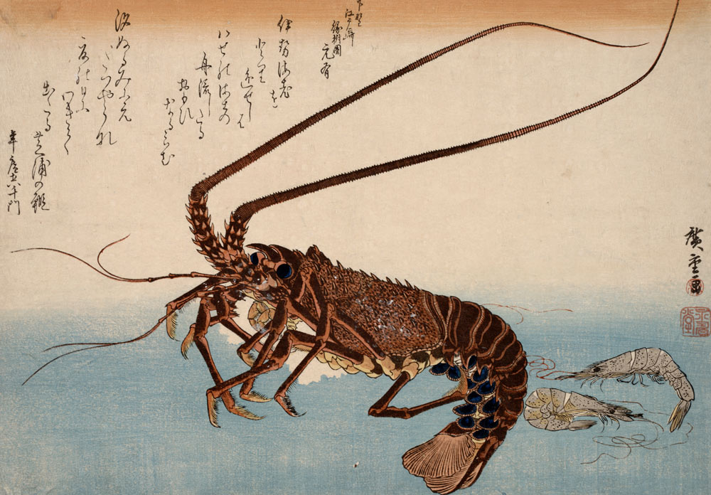 Lobster and Shrimps from Ando oder Utagawa Hiroshige