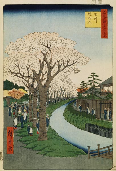Cherry Blossoms on the Banks of the Tama River (One Hundred Famous Views of Edo) from Ando oder Utagawa Hiroshige