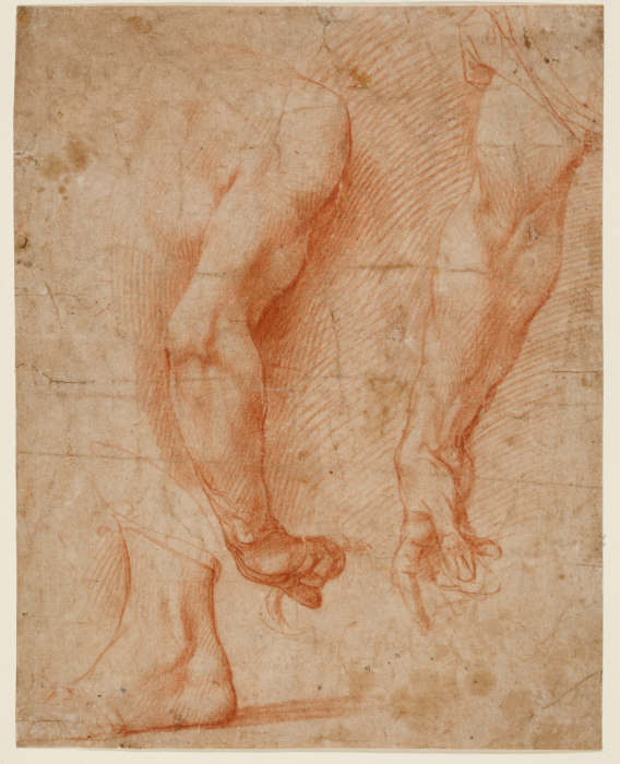 Studien von zwei Armen und eines Fußes from Andrea del Sarto