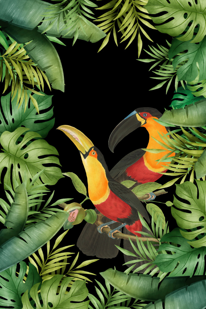 Jungle With Toucans from Andrea Haase