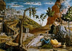 The Agony in the Garden, left hand predella panel from the Altarpiece of St. Zeno of Verona