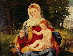 The Virgin and Child with a shoot of Olive, c.1515