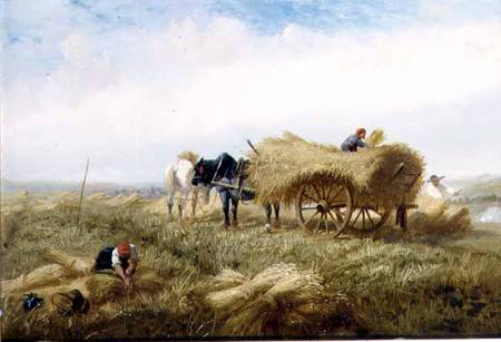 Harvesting, near Boulogne-sur-Mer from Andrew Beavis