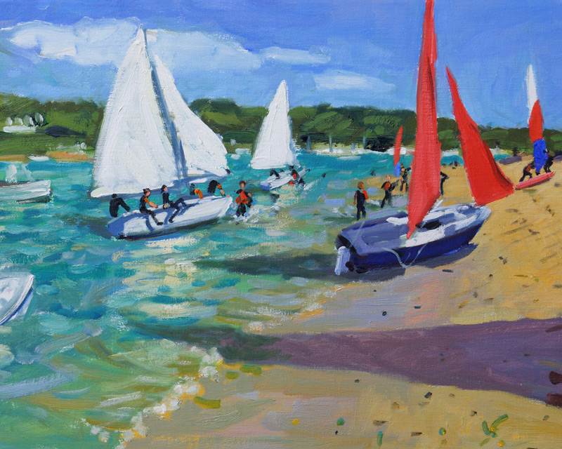 Sailing Boats ,Salcombe from Andrew  Macara