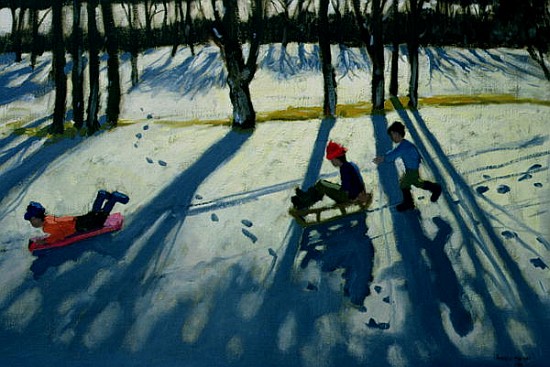 Boys Sledging, Allestree Park, Derby (oil on canvas)  from Andrew  Macara