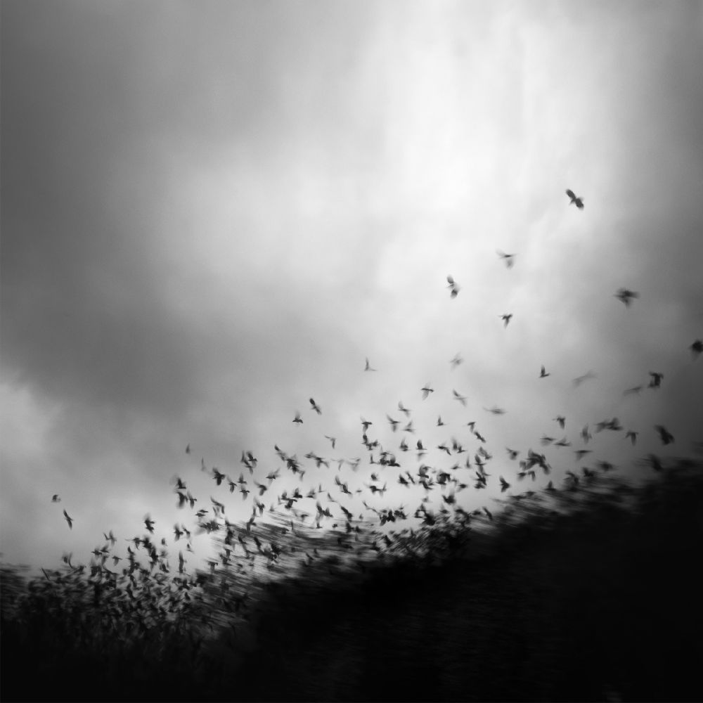 without you, my whole world comes apart at the seams from Andy Lee