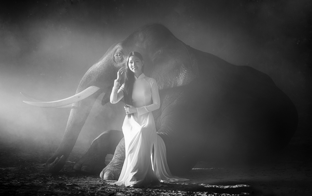 A Girl and An Elephant from Angela Muliani Hartojo