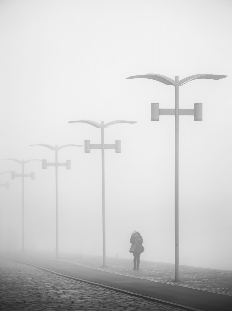 Walk in the fog. from Anna Niemiec
