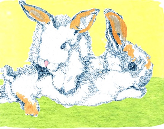 Easter Bunnies from  Anna  Platts