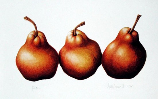 Pears, 2000 (w/c on paper)  from Annabel  Barrett
