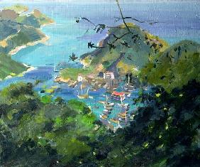 View of Aberdeen from the Peak, Hong Kong (oil on canvas) 