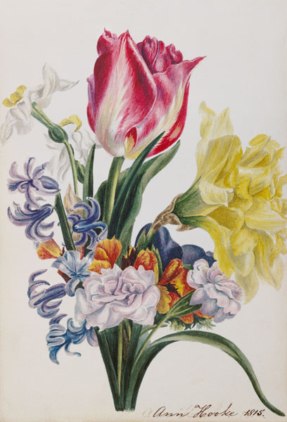 Spring Flowers from Anne Hooke