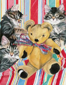 Kittens and teddy