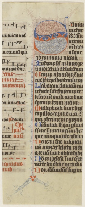 Initial S from Anonym