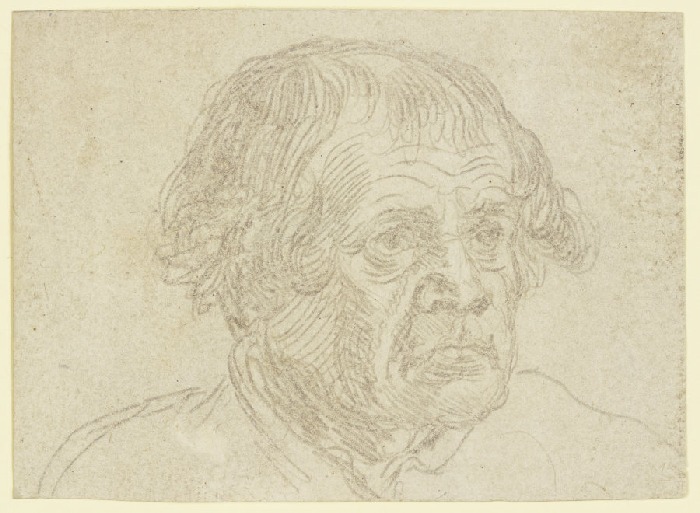 Head of an old man from Anonym
