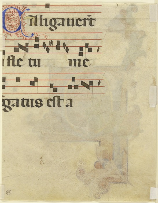 Lateinischer Text "Aligauerit ..." und Noten from Anonym
