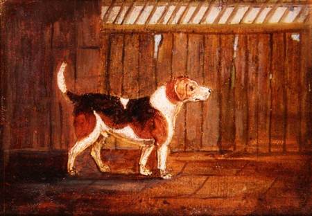 A Hound from Anonymous painter