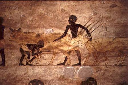 Procession with cattle and gazelles, detail from a tomb wall painting,Egyptian from Anonymous painter