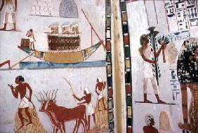 Nile Boat and Floor Threshing, in the Tomb of Menna,Dynasty XVIII New Kingdom