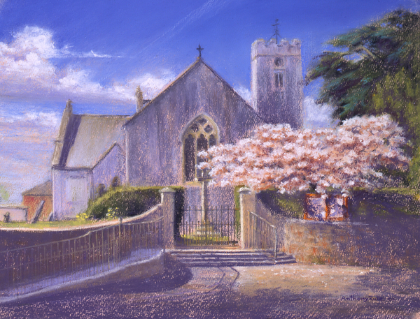 Springtime at St Marys from Anthony  Rule