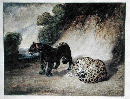 Two Jaguars from Peru from Antoine Louis Barye