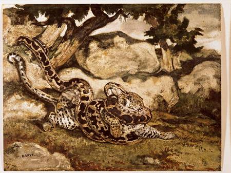 A Python Killing a Tiger (w/c & gouache on paper) from Antoine Louis Barye
