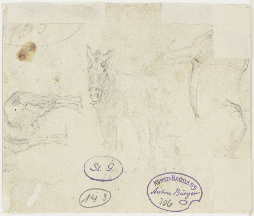 Study sheet: Horse from Anton Burger