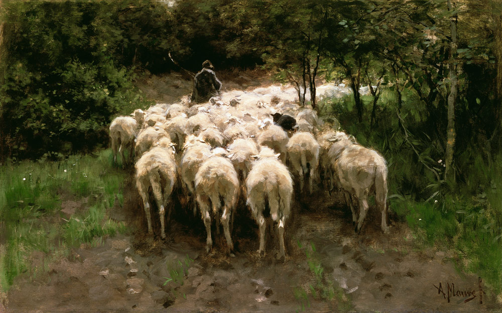 Sheeps in the forest from Anton Mauve
