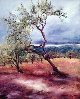 Almendras, 2002 (oil on canvas) 