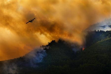 Fire in the Cilento National Park - Italy