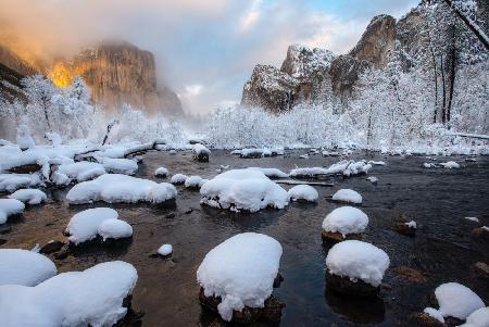 Fresh Snow at Yosemite