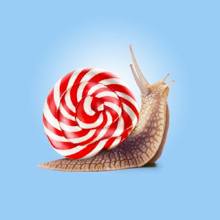 Snail Candy