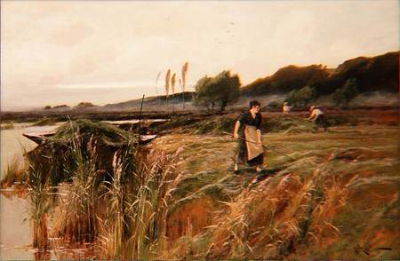 A Summer Harvest from Arthur Walker Redgate