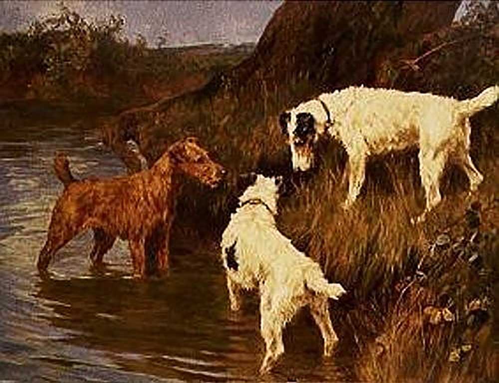 Three terriers at a riverbank from Arthur Wardle