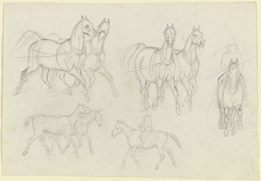 Study of horses, at a trot from August Lucas