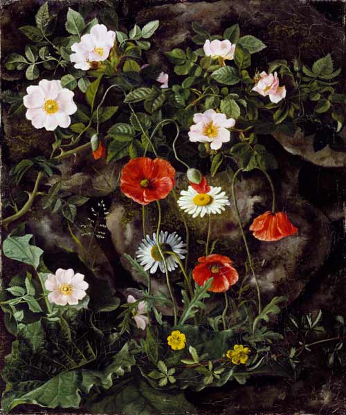 Game roses, poppies and daisy at a stone bank. from Augusta Laessoe