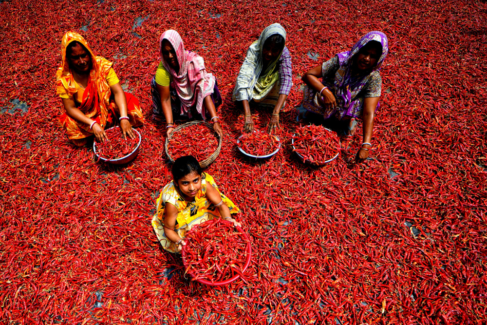 Red Chilli Workers from Avishek Das