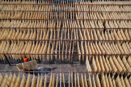 Drying Noodles