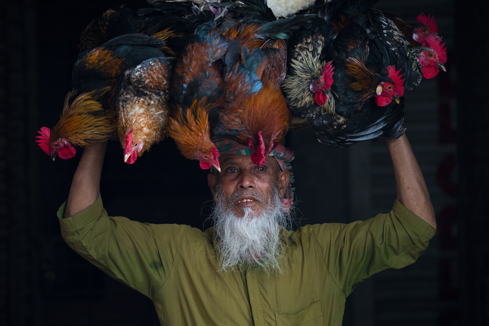 Cock seller from Azim Khan Ronnie