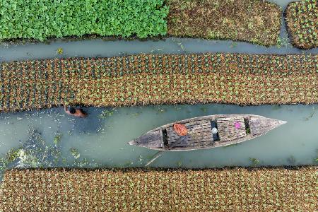 Floating farming