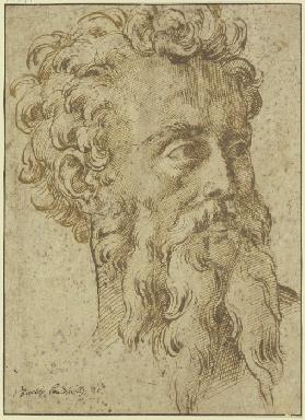 Männlicher Kopf mit langem geteiltem Bart dreiviertel nach rechts