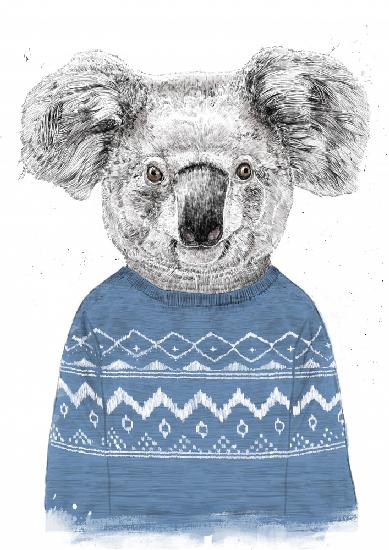 Winter koala (blue)