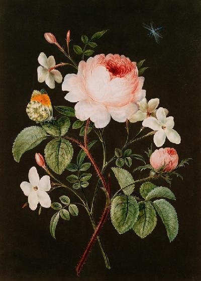 Rose and jasmine flower arrangement