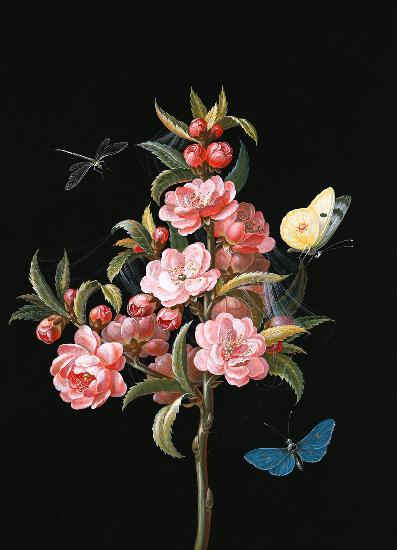 Japanese quince (or cherry) with dragon-fly and butterflies