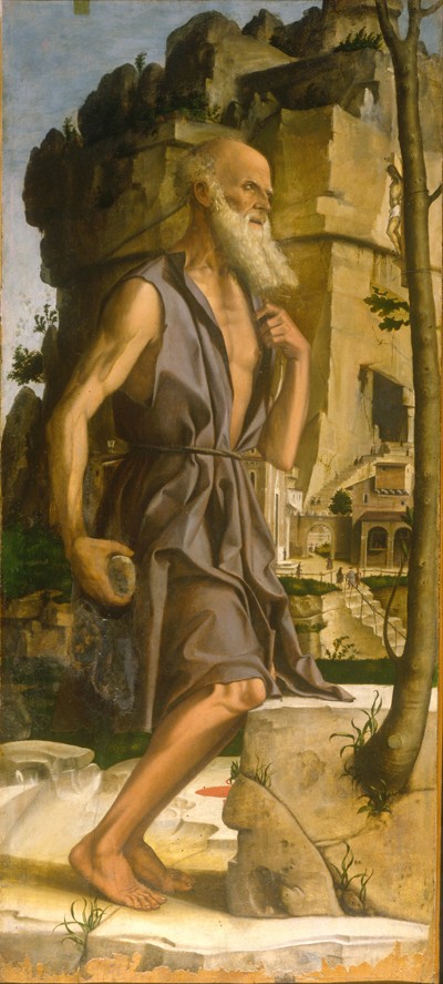 Saint Jerome from Bartolomeo Montagna