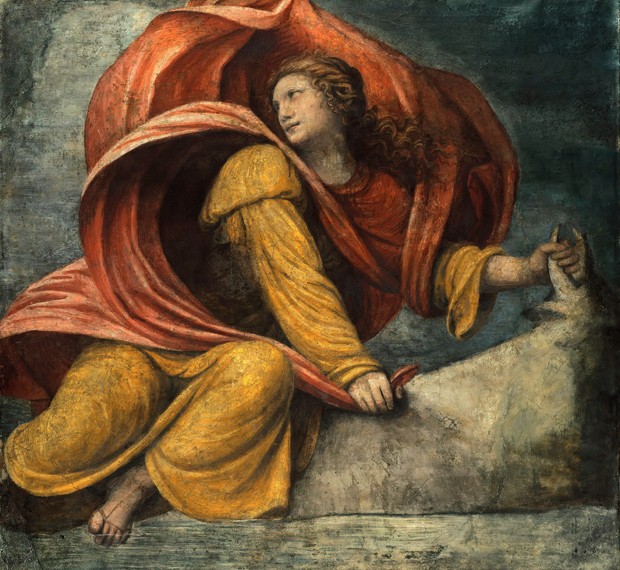 The Rape of Europa from Bernardino Luini