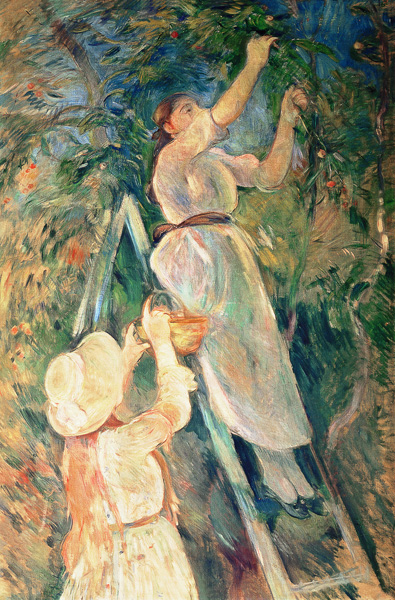 The Cherry Picker from Berthe Morisot
