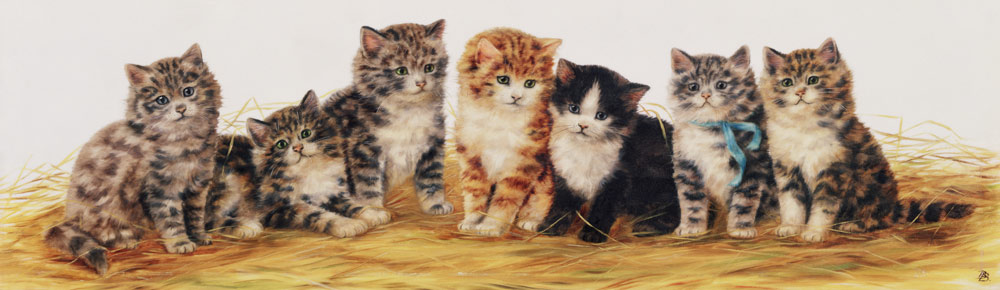 Seven Kittens from Betsy Bamber